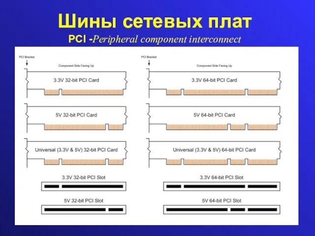 Шины сетевых плат PCI -Peripheral component interconnect