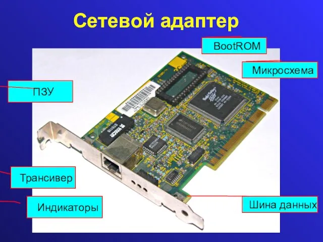 Сетевой адаптер BootROM Трансивер Индикаторы ПЗУ Микросхема Шина данных