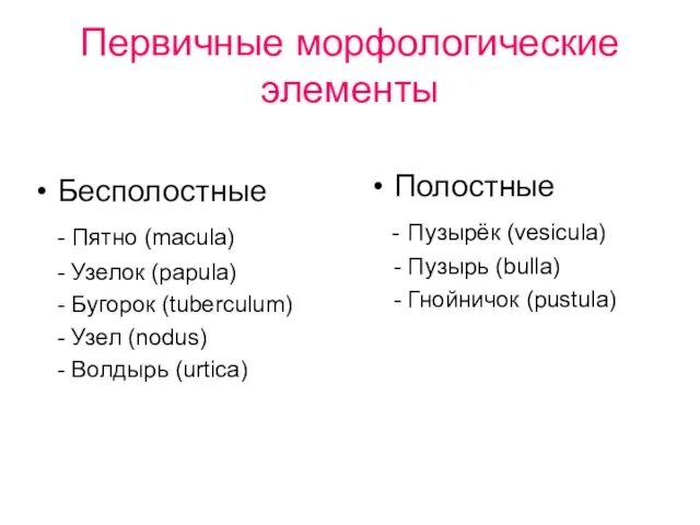 Первичные морфологические элементы Бесполостные - Пятно (macula) - Узелок (papula) -