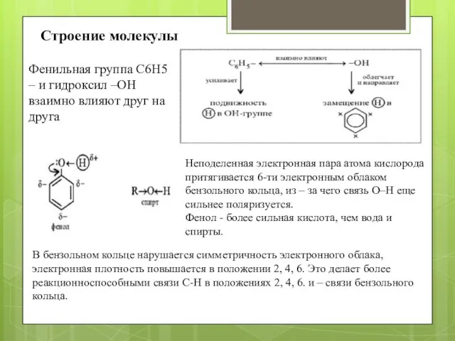 Строение молекулы Фенильная группа C6H5 – и гидроксил –ОН взаимно влияют