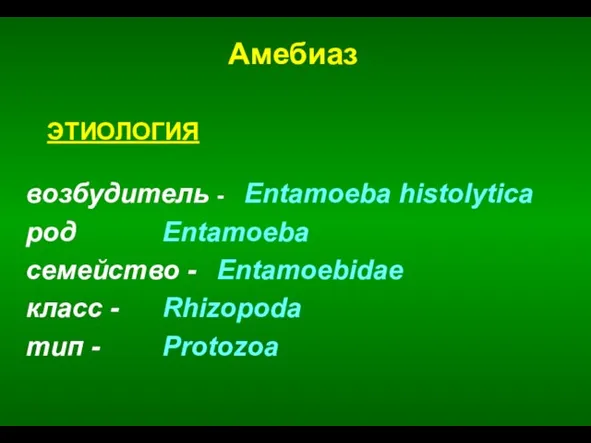 возбудитель - Entamoeba histolytica род Entamoeba семейство - Entamoebidae класс -