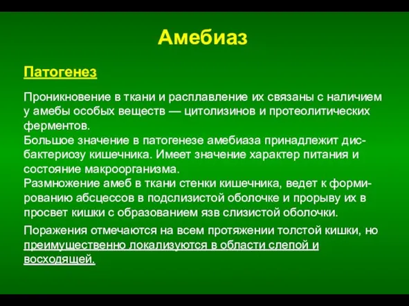 Амебиаз Патогенез Проникновение в ткани и расплавление их связаны с наличием