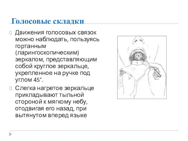 Голосовые складки Движения голосовых связок можно наблюдать, пользуясь гортанным (ларингоскопическим) зеркалом,