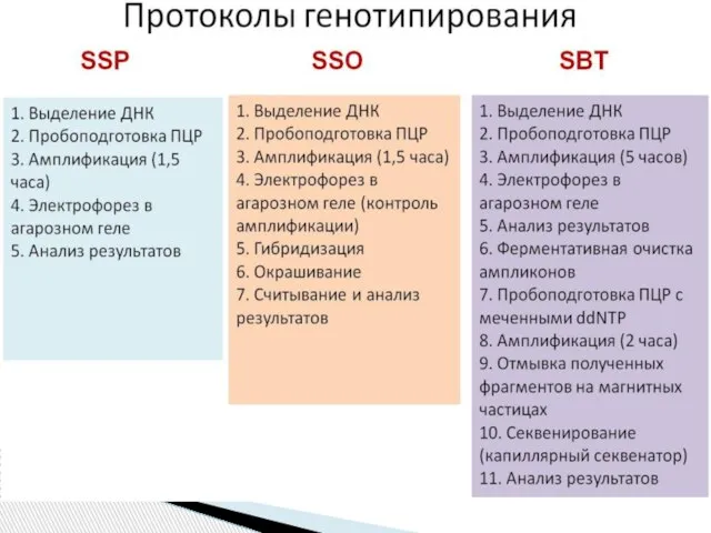 SSO (sequence specific oligonucleotide) — неспецифическая амплификация исследуемого участка (локуса) ДНК