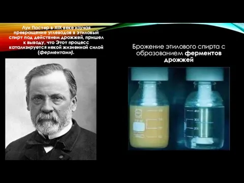 Луи Пастер в XIX веке изучая превращение углеводов в этиловый спирт
