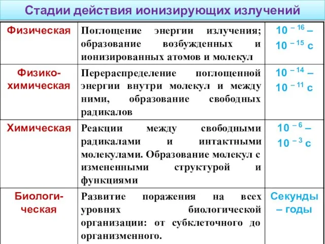 Стадии действия ионизирующих излучений