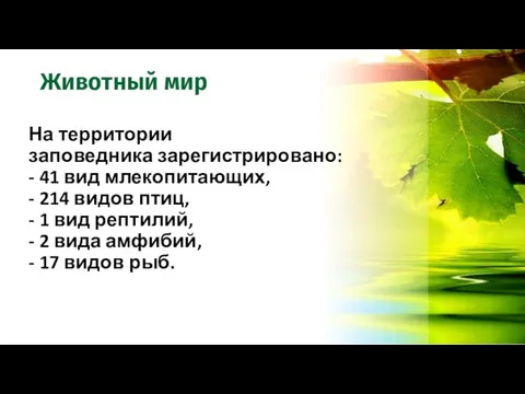 Животный мир На территории заповедника зарегистрировано: - 41 вид млекопитающих, -