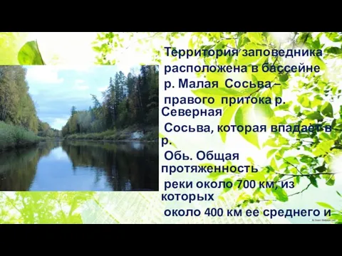 Территория заповедника расположена в бассейне р. Малая Сосьва – правого притока