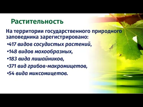 Растительность На территории государственного природного заповедника зарегистрировано: 417 видов сосудистых растений,