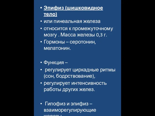 Эпифиз (шишковидное тело) или пинеальная железа относится к промежуточному мозгу .