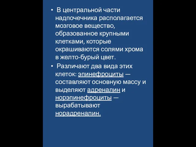 В центральной части надпочечника располагается мозговое вещество, образованное крупными клетками, которые