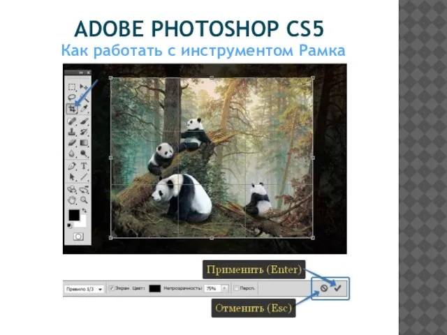 ADOBE PHOTOSHOP CS5 Как работать с инструментом Рамка