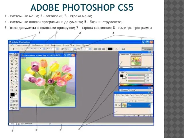 ADOBE PHOTOSHOP CS5 1 – системные меню; 2 – заголовки; 3