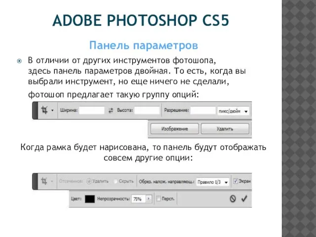 ADOBE PHOTOSHOP CS5 Панель параметров В отличии от других инструментов фотошопа,