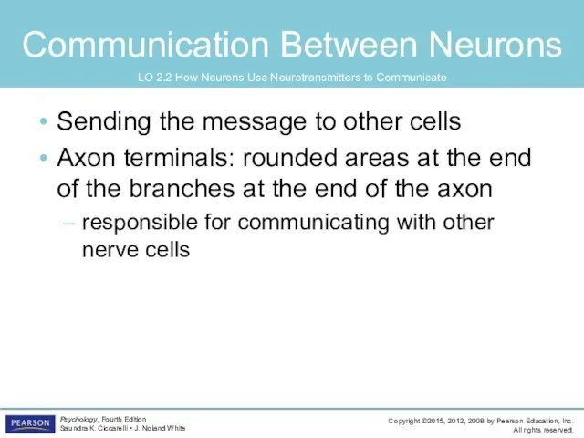 Communication Between Neurons Sending the message to other cells Axon terminals: