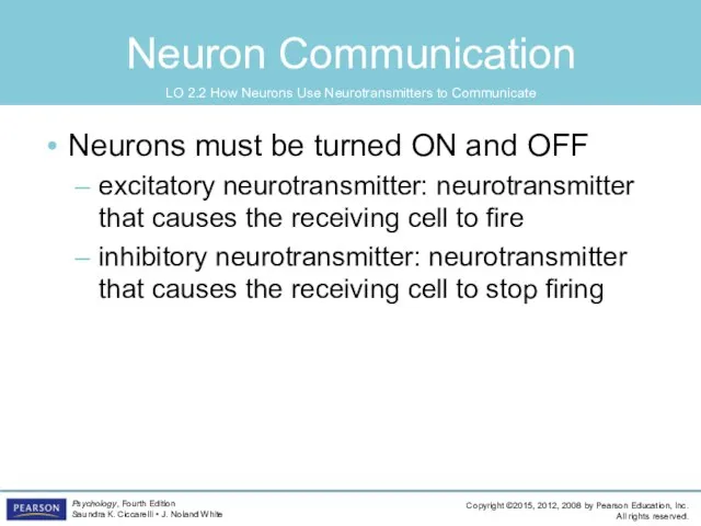 Neuron Communication Neurons must be turned ON and OFF excitatory neurotransmitter: