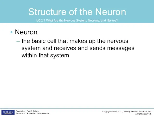 Structure of the Neuron Neuron the basic cell that makes up