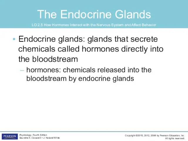 The Endocrine Glands Endocrine glands: glands that secrete chemicals called hormones