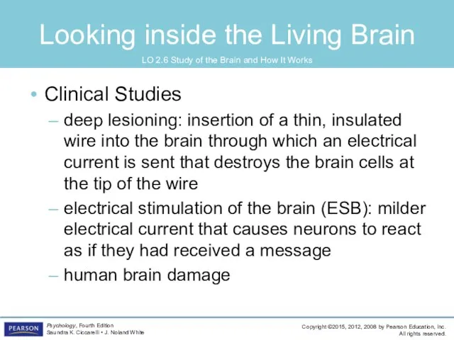 Looking inside the Living Brain Clinical Studies deep lesioning: insertion of