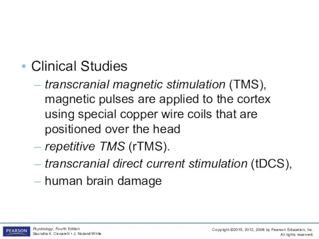 Looking inside the Living Brain Clinical Studies transcranial magnetic stimulation (TMS),