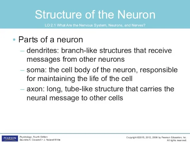 Structure of the Neuron Parts of a neuron dendrites: branch-like structures