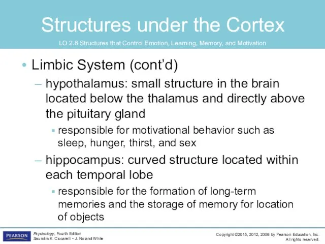 Structures under the Cortex Limbic System (cont’d) hypothalamus: small structure in