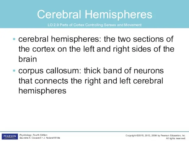 Cerebral Hemispheres cerebral hemispheres: the two sections of the cortex on