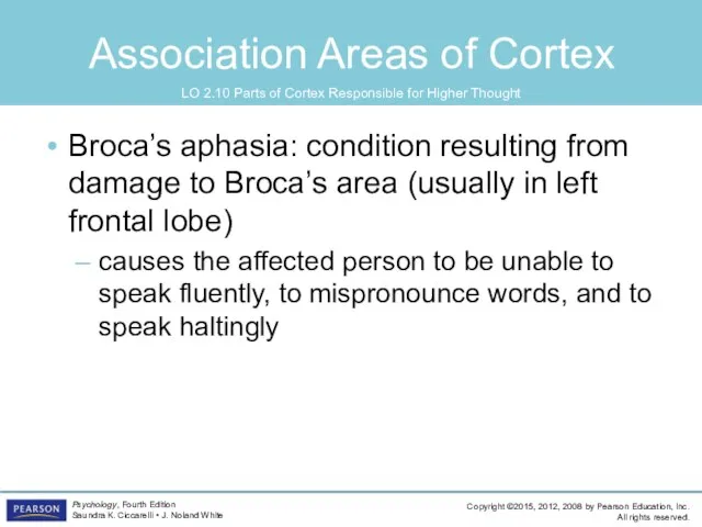 Association Areas of Cortex Broca’s aphasia: condition resulting from damage to