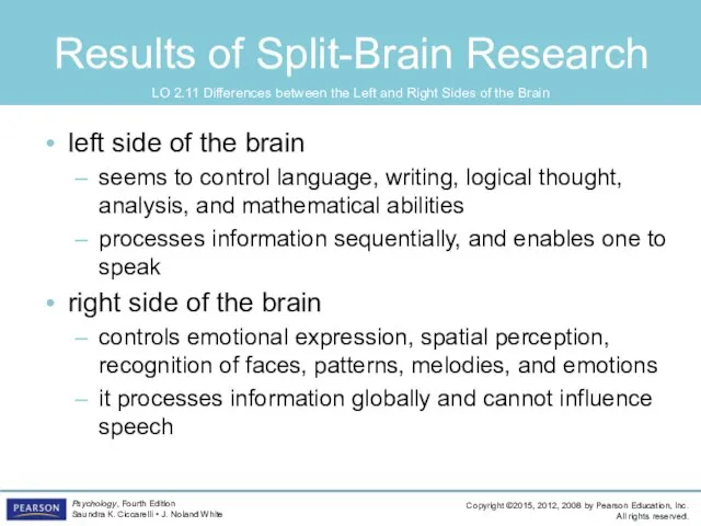 Results of Split-Brain Research left side of the brain seems to