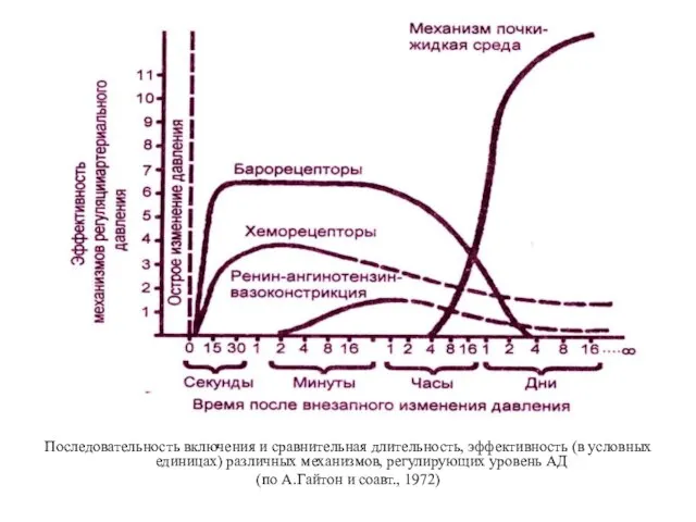 Последовательность включения и сравнительная длительность, эффективность (в условных единицах) различных механизмов,