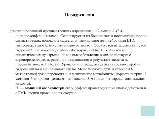 Норадреналин деметилированный предшественник адреналина — 2-амино-1-(3,4-дигидроксифенил)этанол. Секретируется из большинства постганглионарных симпатических