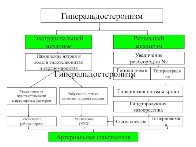 Гиперальдостеронизм Гиперальдостеронизм Экстраренальный механизм Ренальный механизм Накопление натрия и воды в