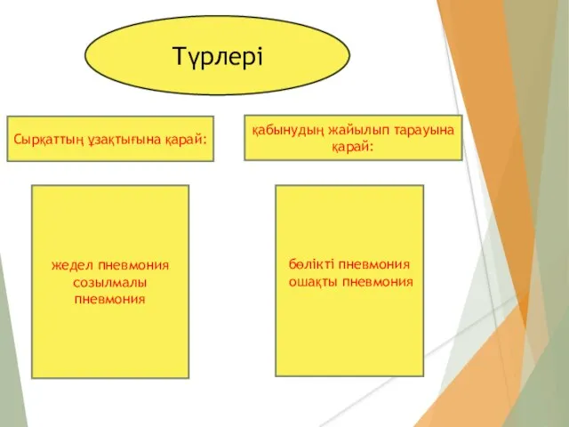 ] Түрлері Сырқаттың ұзақтығына қарай: қабынудың жайылып тарауына қарай: жедел пневмония