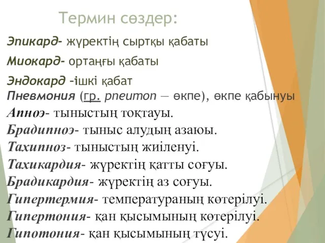 Термин сөздер: Эпикард- жүректің сыртқы қабаты Миокард- ортаңғы қабаты Эндокард –ішкі