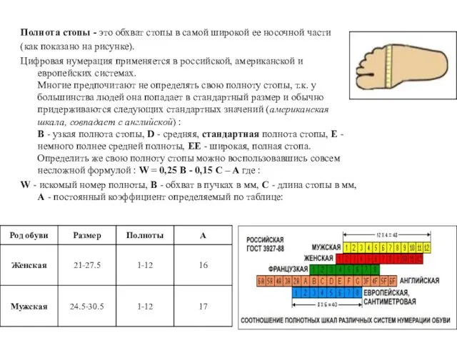 Полнота стопы - это обхват стопы в самой широкой ее носочной