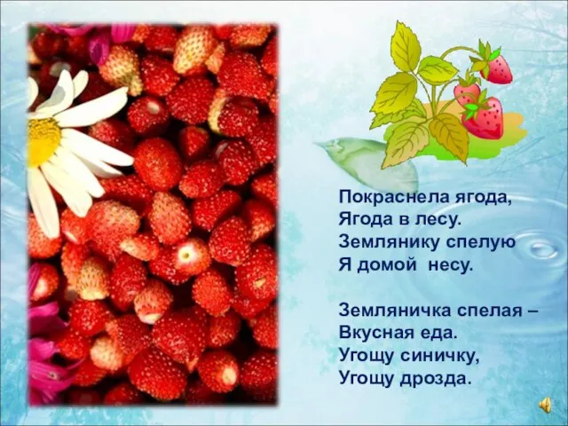 Покраснела ягода, Ягода в лесу. Землянику спелую Я домой несу. Земляничка