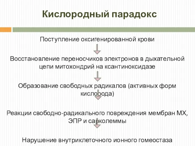 Кислородный парадокс Поступление оксигенированной крови Восстановление переносчиков электронов в дыхательной цепи