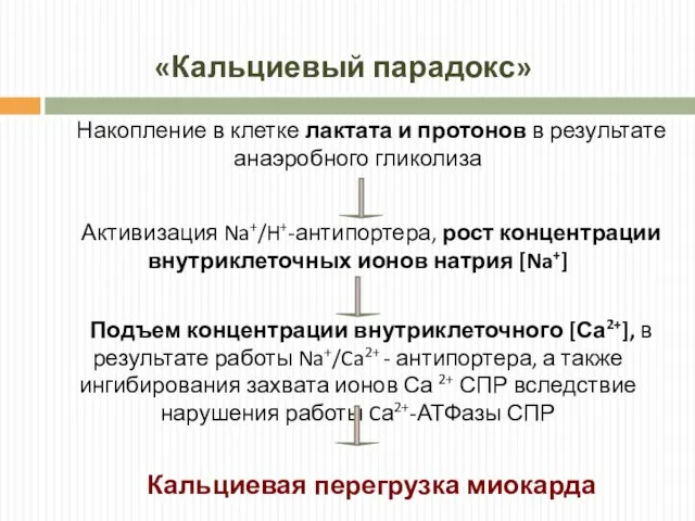 «Кальциевый парадокс» Накопление в клетке лактата и протонов в результате анаэробного