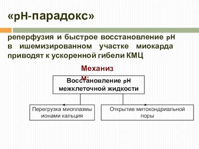 «pH-парадокс» реперфузия и быстрое восстановление pH в ишемизированном участке миокарда приводят