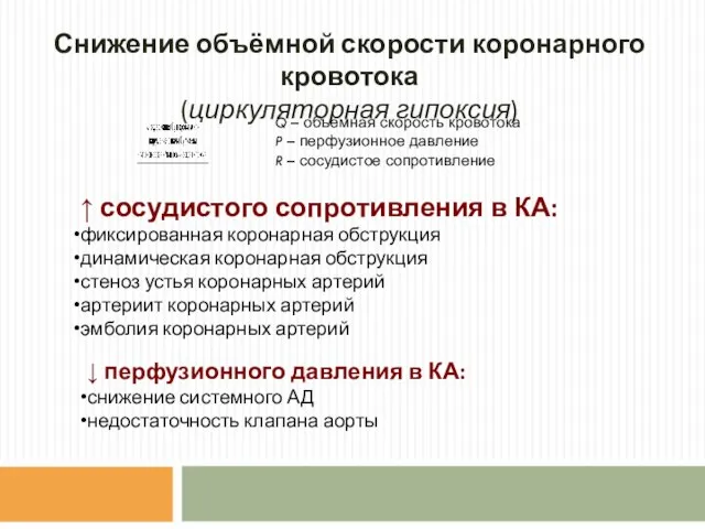 ↓ перфузионного давления в КА: снижение системного АД недостаточность клапана аорты