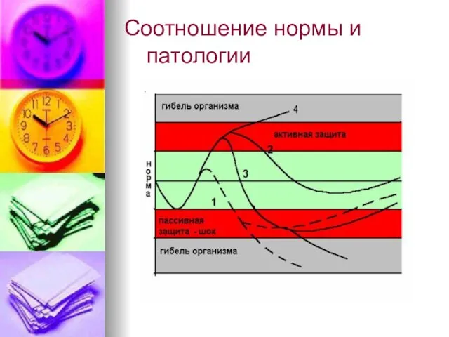 Соотношение нормы и патологии