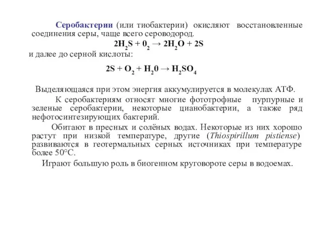 Серобактерии (или тиобактерии) окисляют восстановленные соединения серы, чаще всего сероводород. 2H2S