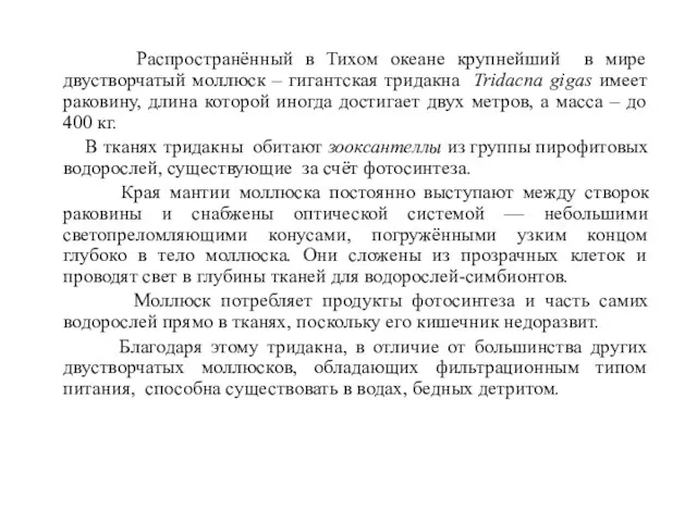 Распространённый в Тихом океане крупнейший в мире двустворчатый моллюск – гигантская