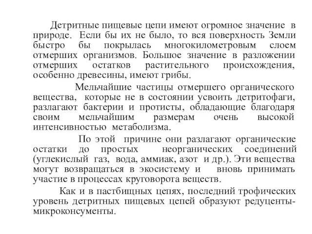 Детритные пищевые цепи имеют огромное значение в природе. Если бы их