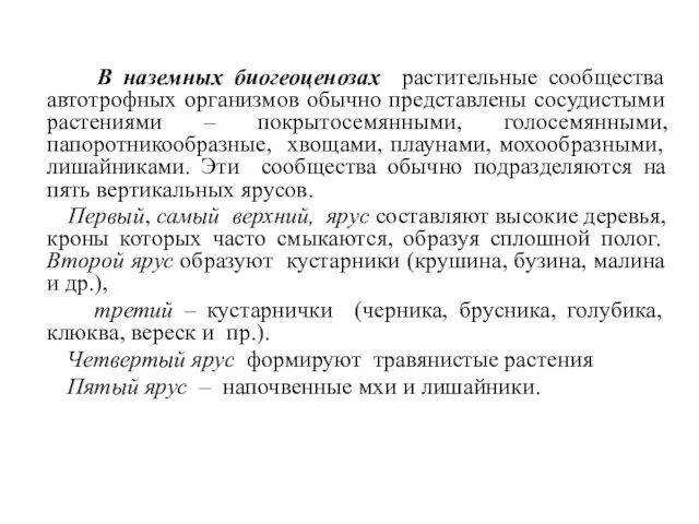 В наземных биогеоценозах растительные сообщества автотрофных организмов обычно представлены сосудистыми растениями