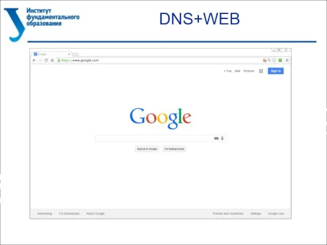 DNS+WEB