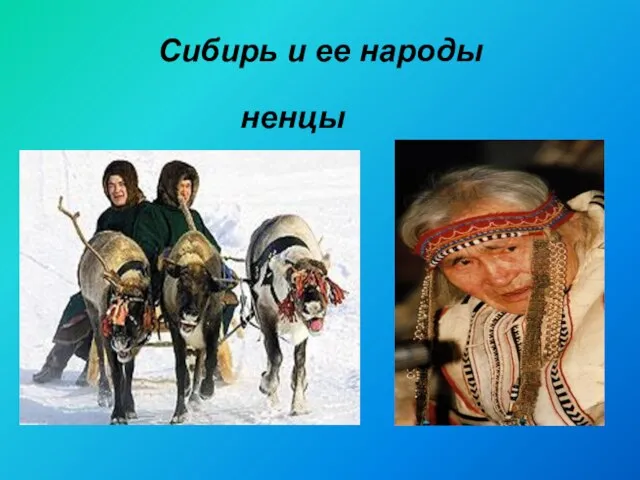 Сибирь и ее народы ненцы