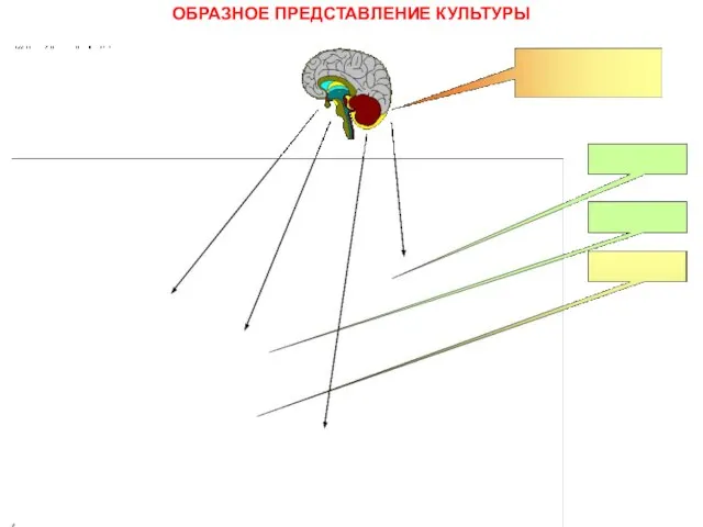 ОБРАЗНОЕ ПРЕДСТАВЛЕНИЕ КУЛЬТУРЫ