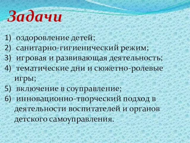 Задачи оздоровление детей; санитарно-гигиенический режим; игровая и развивающая деятельность; тематические дни