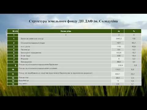 Структура земельного фонду ДП ДАФ ім. Солодухіна